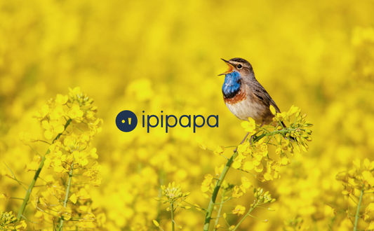 Der magische Klang von ipipapa und das Geheimnis unseres Namens